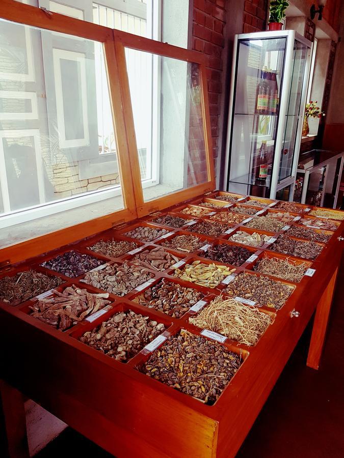 Oasey Ayurveda Hotel بينتوتا المظهر الخارجي الصورة