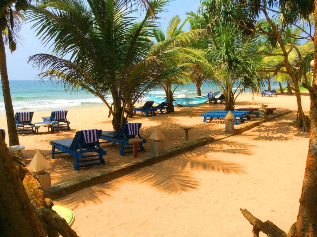 Oasey Ayurveda Hotel بينتوتا المظهر الخارجي الصورة
